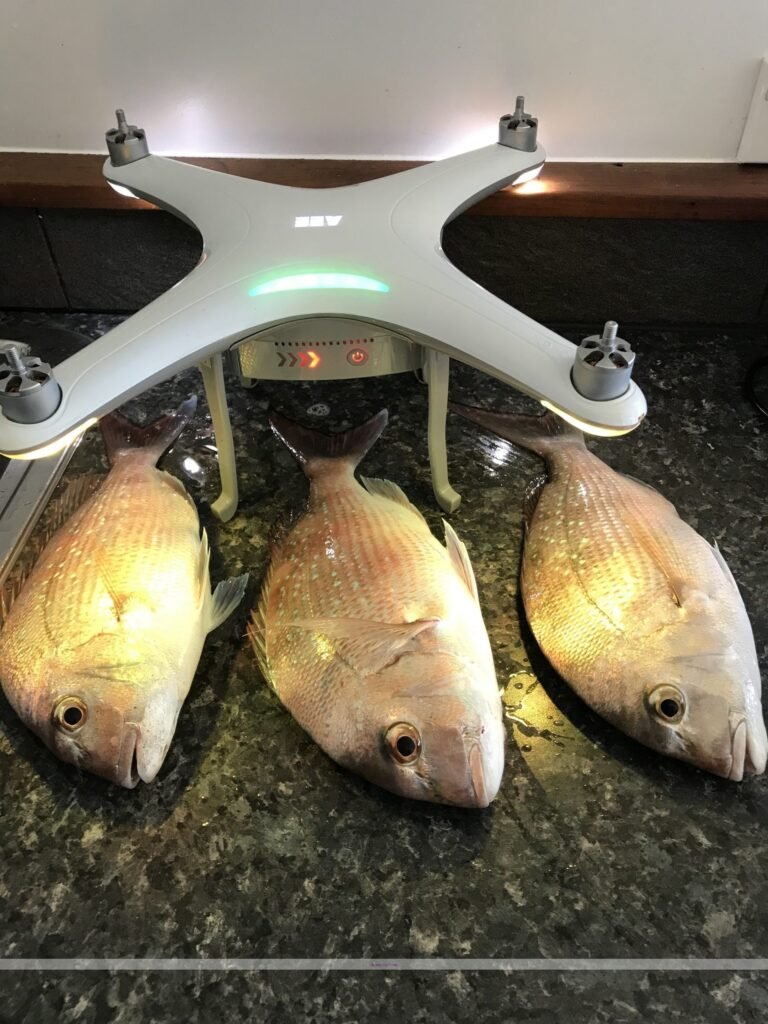 Aee Condor Fishing Drone Logo