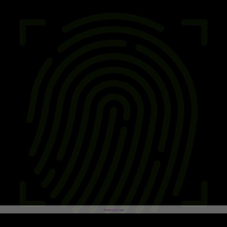 Anzu Robotics Raptor Logo