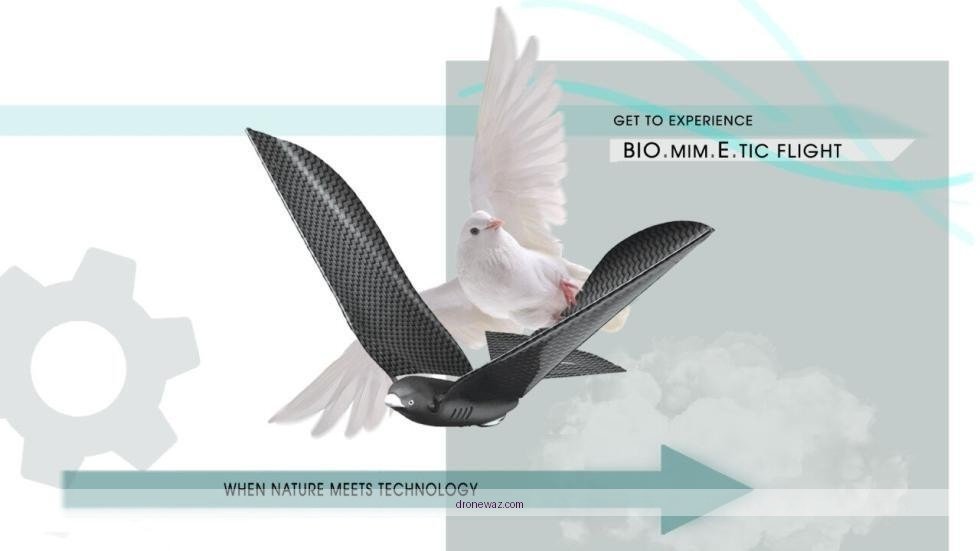 Bionic Bird Drone Flying Nature Comparison Bionic Bird Drone Traditional - bionic bird drone review