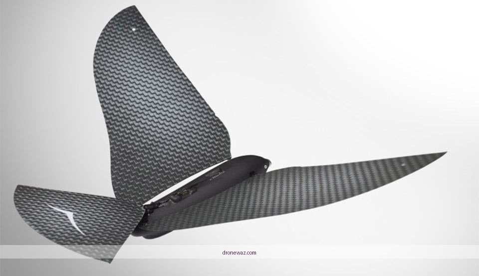 Bionic Bird Drone Traditional Drone Comparison Mistake - bionic bird drone review