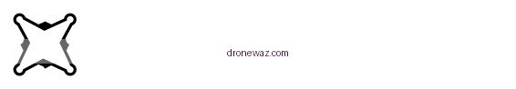 Black Falcon Drone Logo