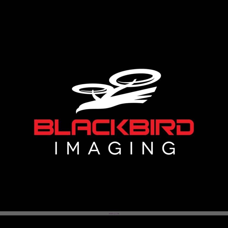 Blackbird Drone Logo