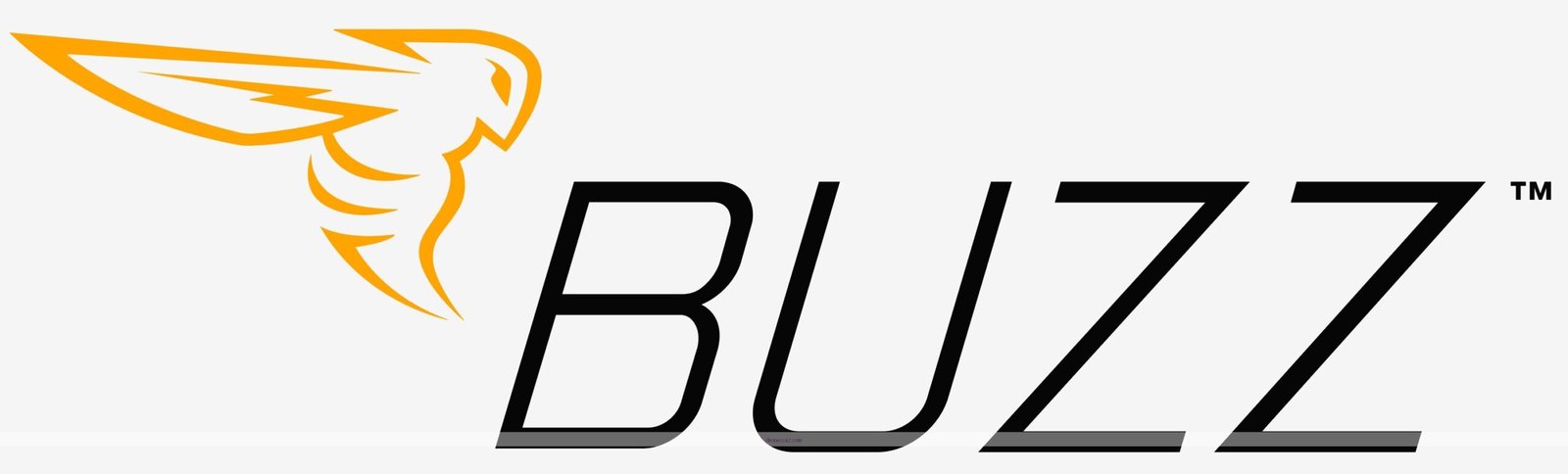 Buzz Drone Logo