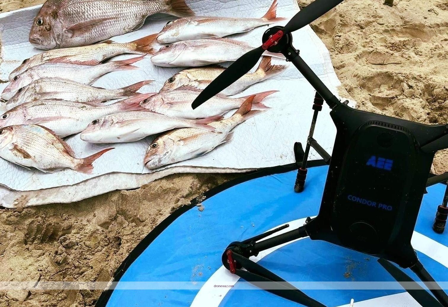 Condor Pro Drone Logo