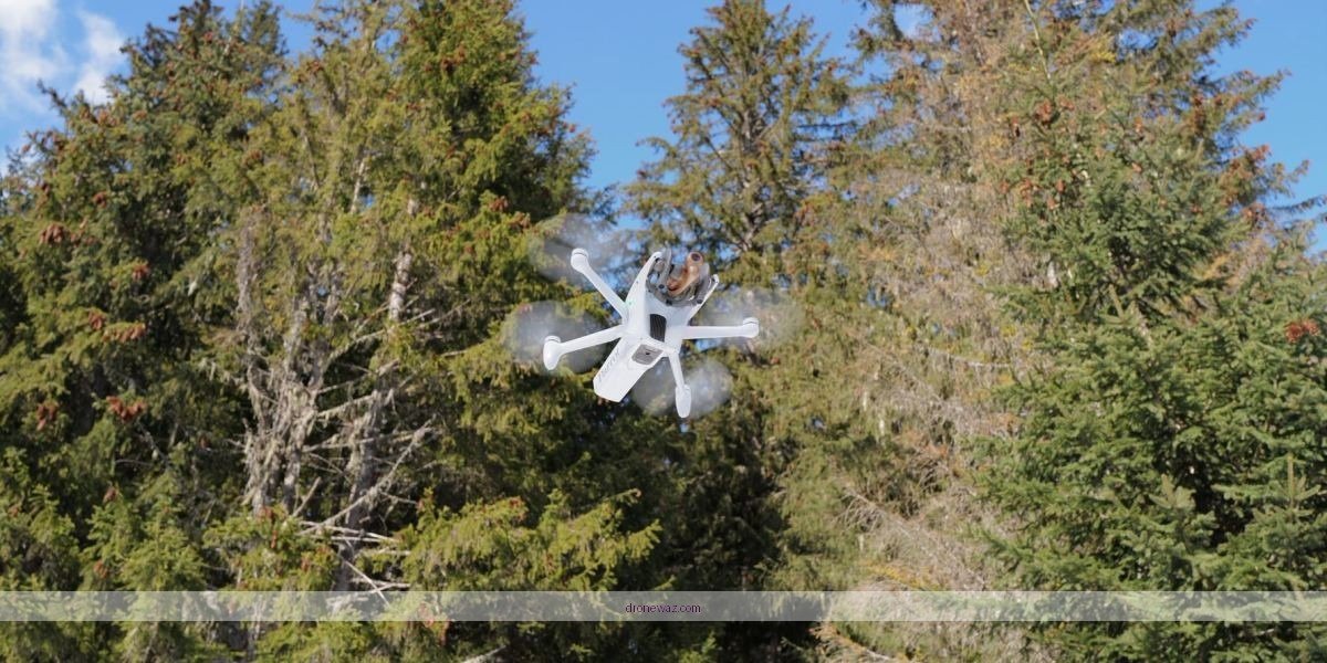 Drone Comparison User Guide Features Parrot Drone Competitors Option - parrot ar drone review