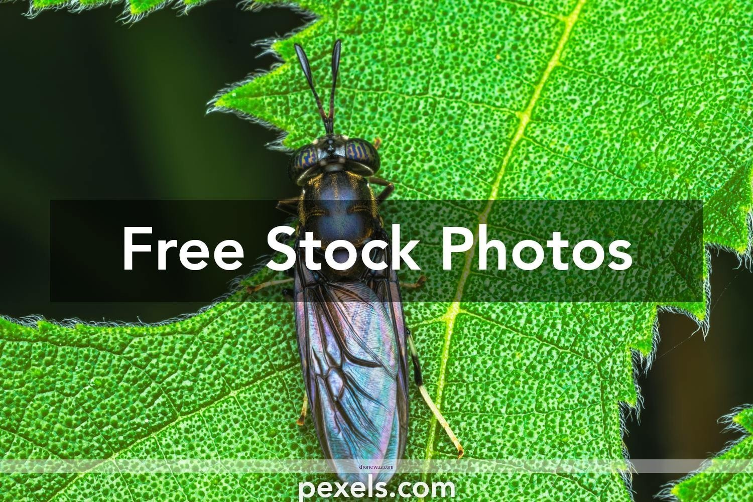 Drone Crash Damage Safety Risks Flying Spinner Fly Orb Pro Other - fly orb pro flying spinner mini drone flying reviews