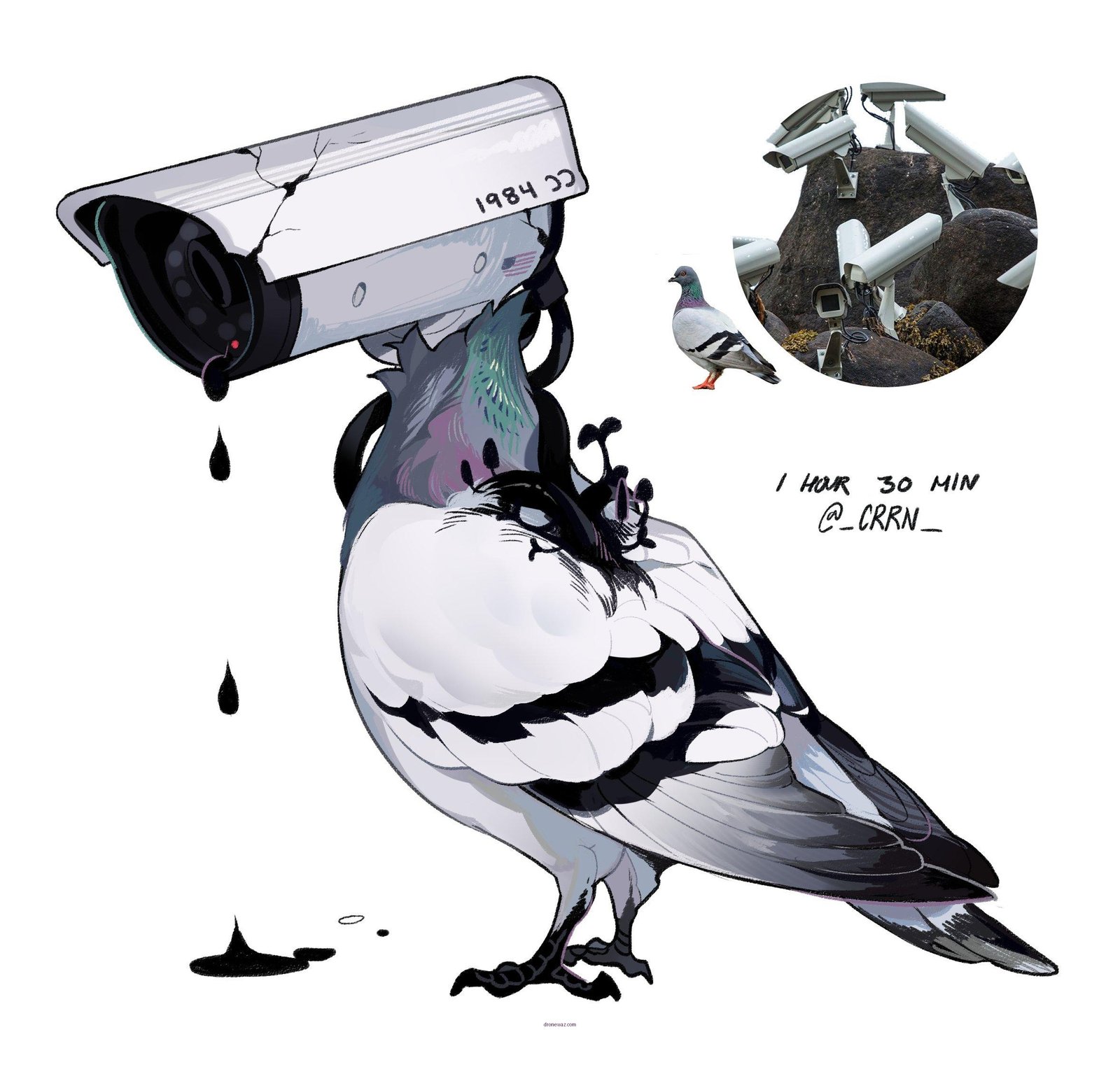 Drone Malfunction Risks Safety Concerns User Complaints Ghostwing Drone Reviews Complaints - ghostwing drone reviews and complaints