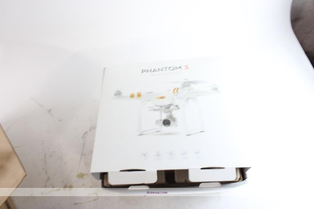 Drone Phantom 3 Professional Logo