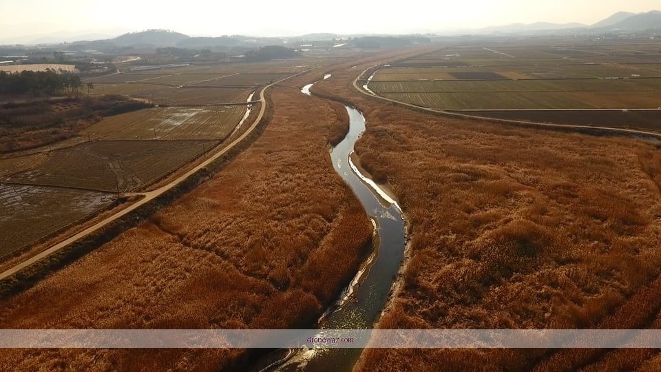 Drone Reed Comparison Features Benefits Drone Reed Reviews Model - drone reed reviews