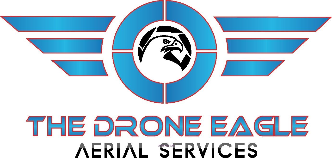 Eagle Drone Logo