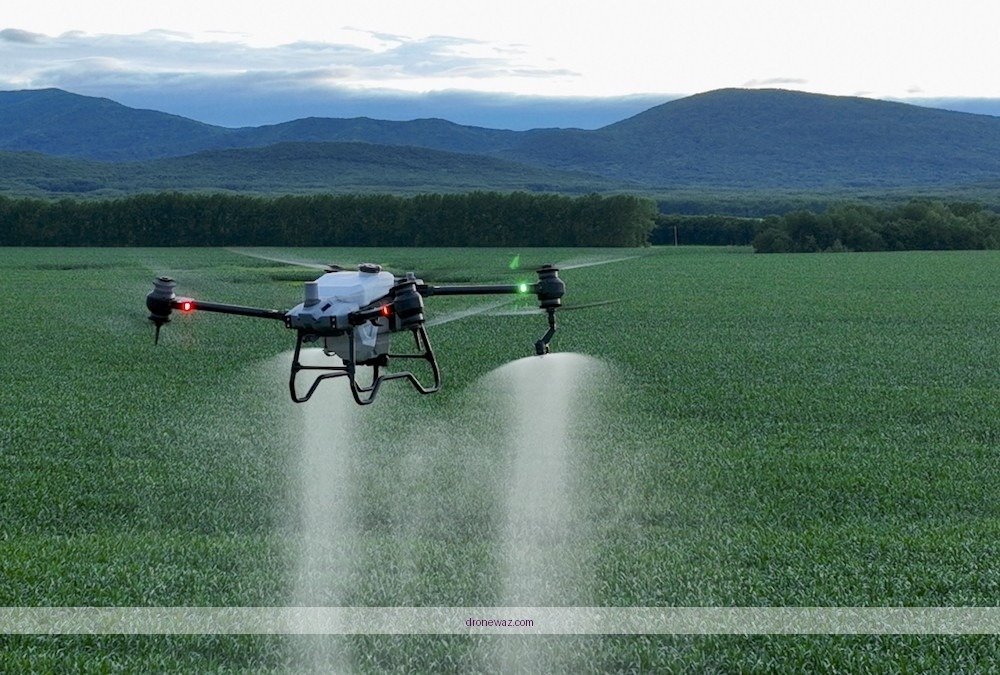 Grant’s Farm Drone Show Reviews: Which Experience Is Better?