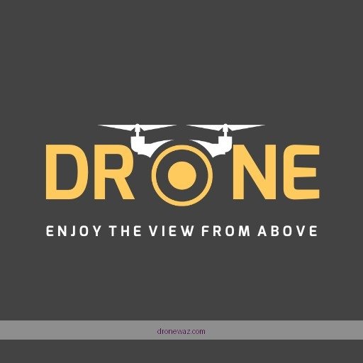 Hs161 Drone Logo