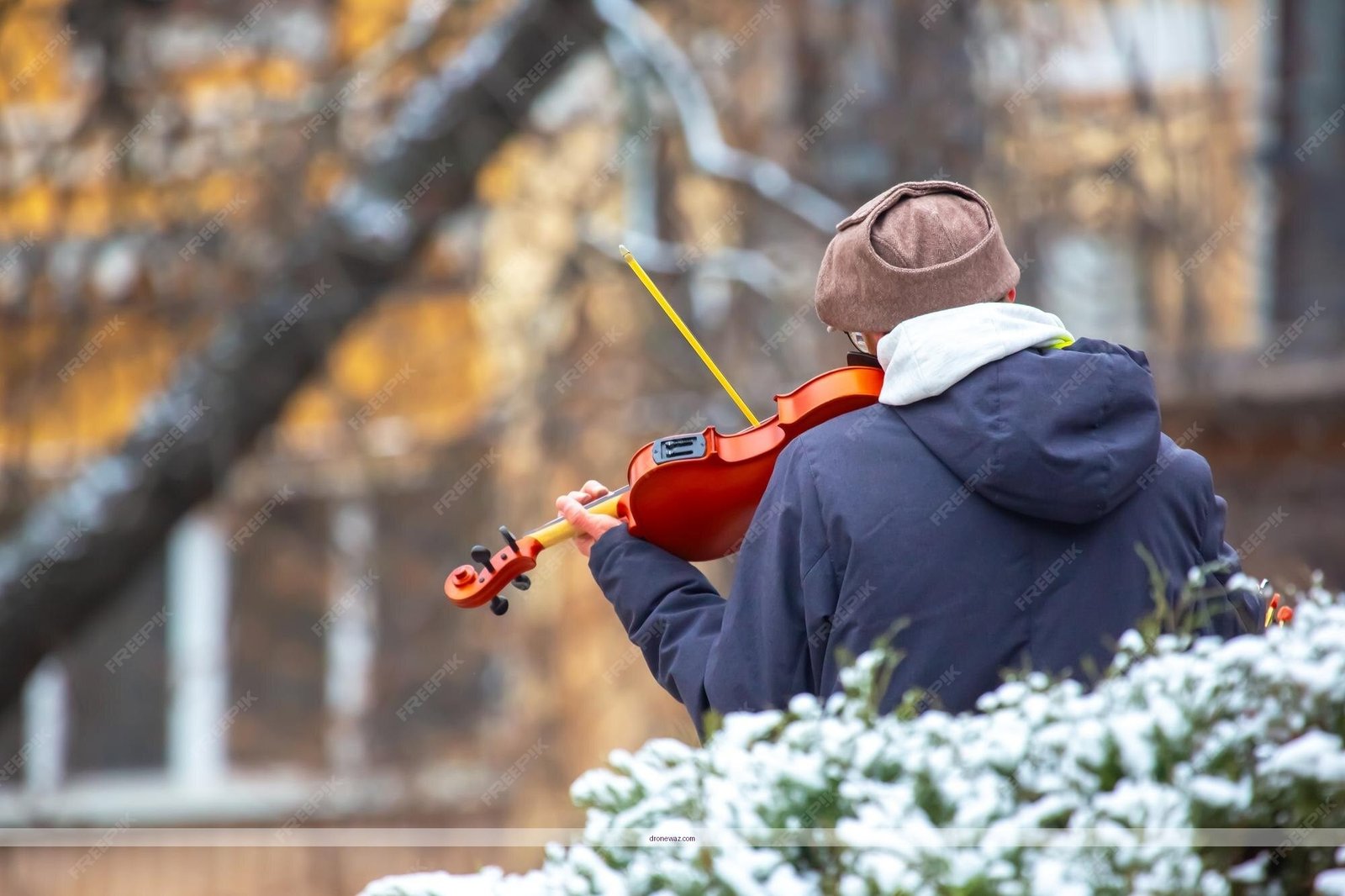 Musician Playing Drone Instrument Chamber-Folk Reeds Mistake Bowed Low End Drones - bowed low-end drones chamber-folk reeds review