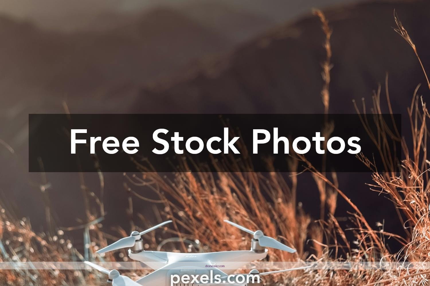 Phantom 4 Drone Logo