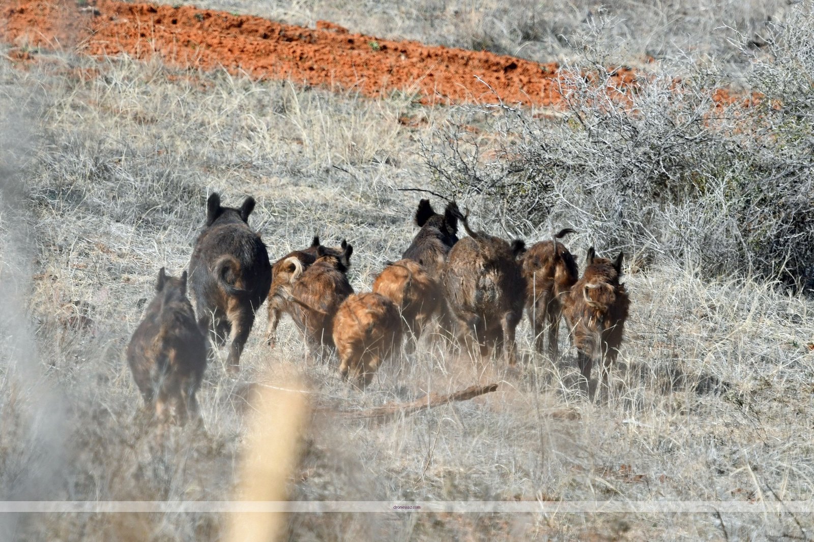 Video Drone Aerial Footage Flying Air Hogs Extreme Video - air hogs extreme video drone review