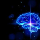 Bwine vs Veeniix: Key Differences Explained