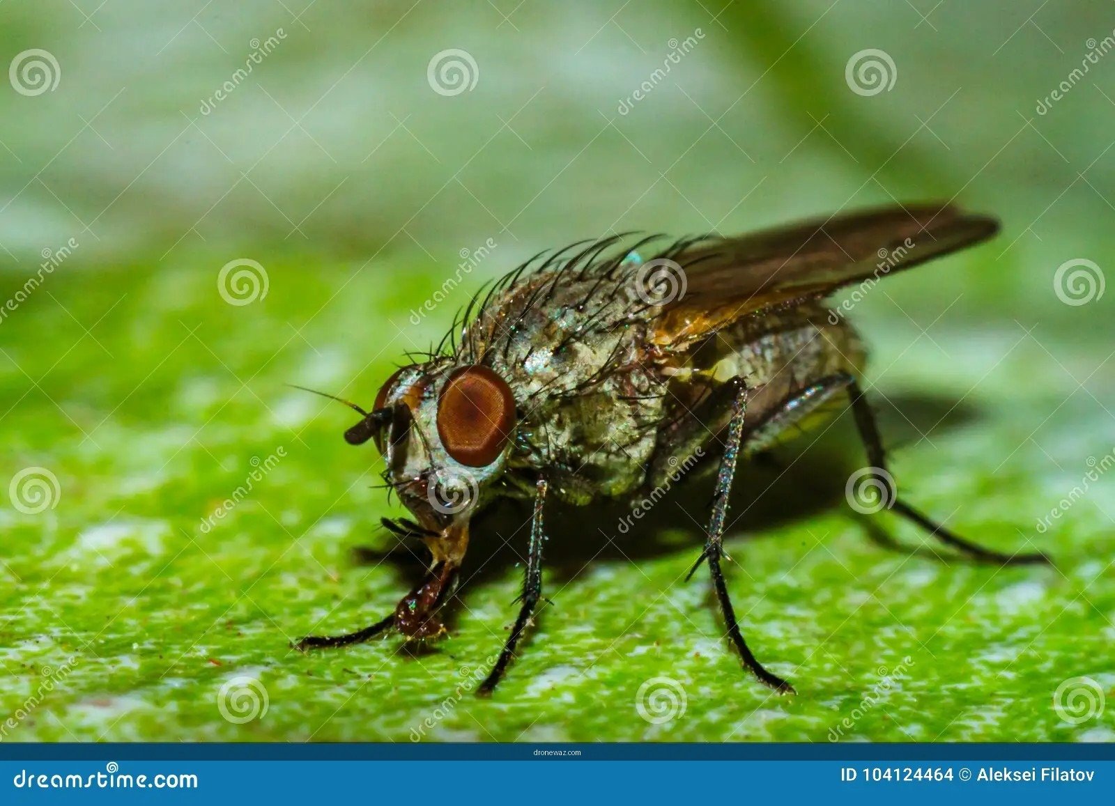 Fly Indoors Indoor Space - How to Fly Indoors